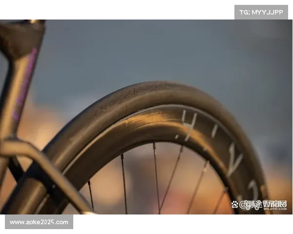 美炭投资广州风雷车队，彻明R战车亮相国际赛事