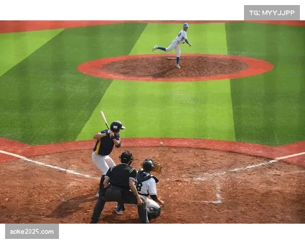 美国业余垒球协会报告显示,2025年成年女性慢投垒球参与人数同比增长12% 美国业余垒球协会报告显示,2025年成年女性慢投垒球参与人数同比增长12%